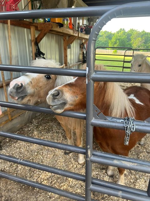 Photo — May 23 2026