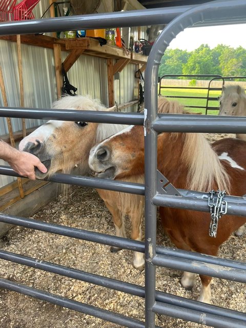 Photo — May 23 2026