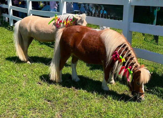 Photo — July 4 2026