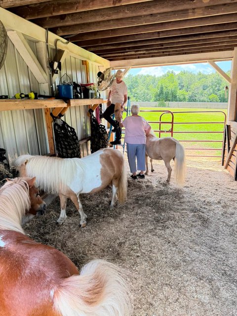 Photo — July 17 2026