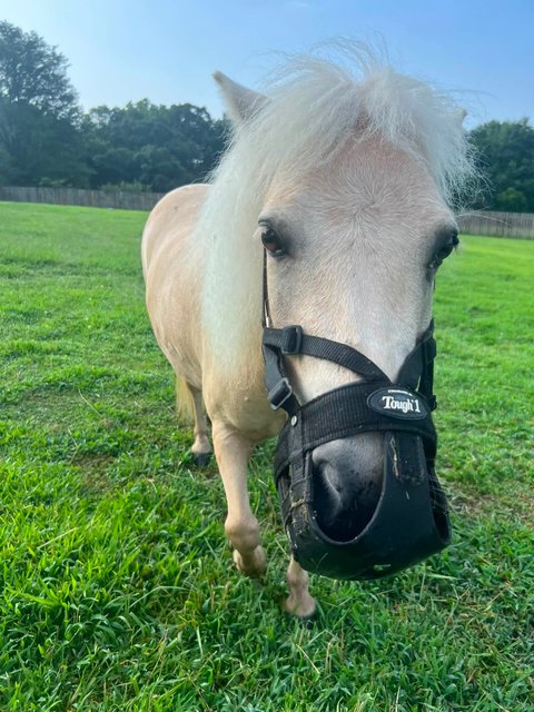 Photo — July 25 2026