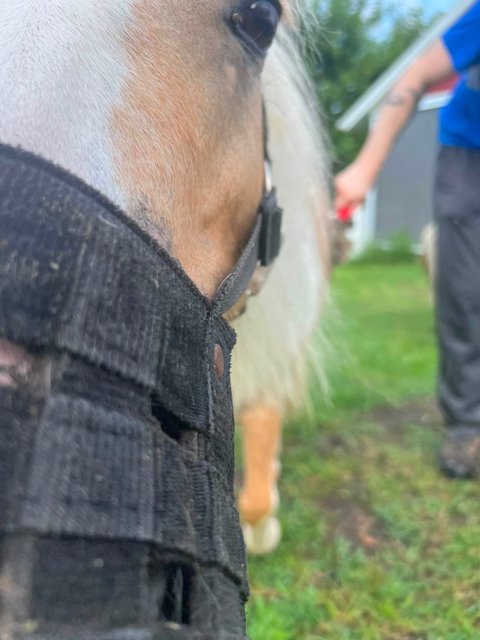 Photo — July 25 2026