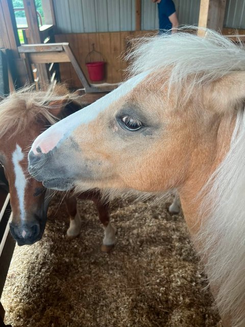 Photo — August 1 2026