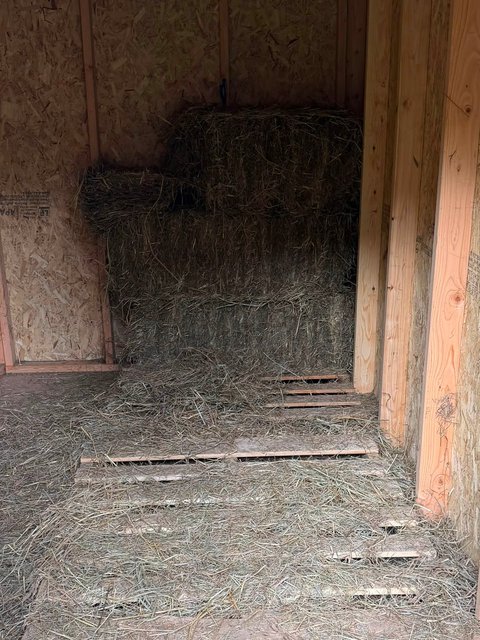 Photo — August 1 2026