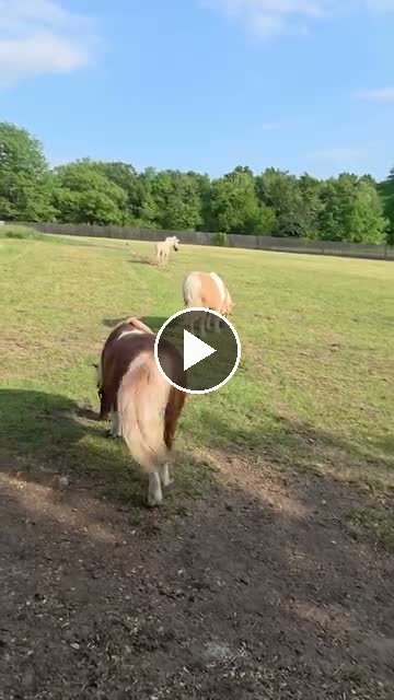 Video — May 13 2026