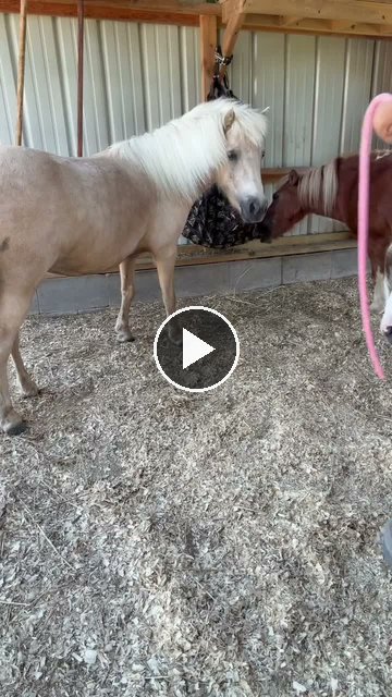 Video — July 12 2026