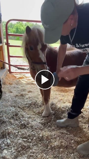 Video — July 5 2026