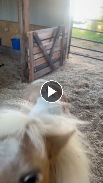 Video — May 24 2026