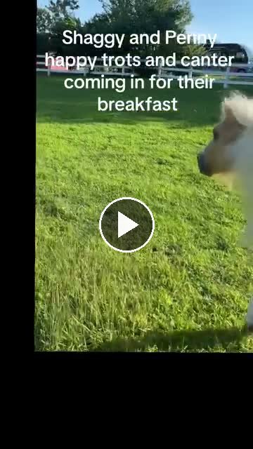 Video — June 17 2026