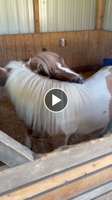 Video — July 12 2026