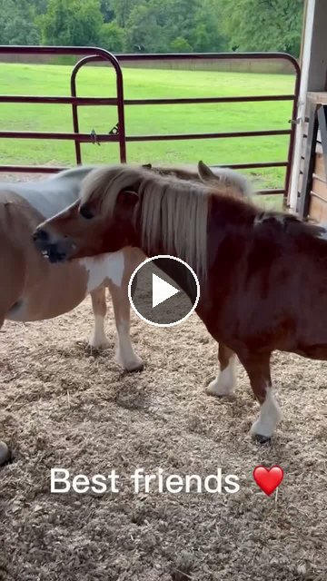 Video — July 10 2026