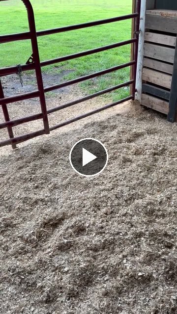 Video — July 10 2026