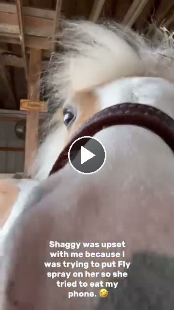 Video — May 10 2026
