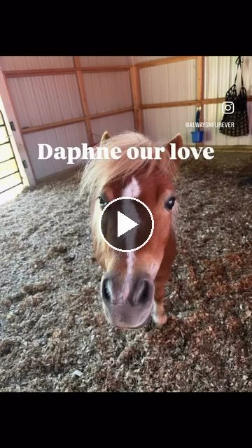 Video — July 25 2026
