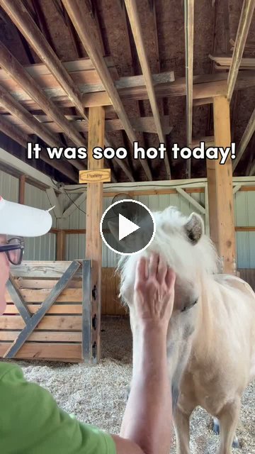 Video — July 12 2026