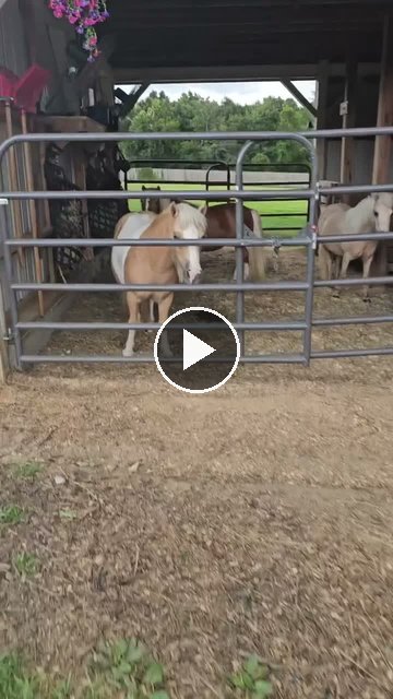 Video — July 18 2026