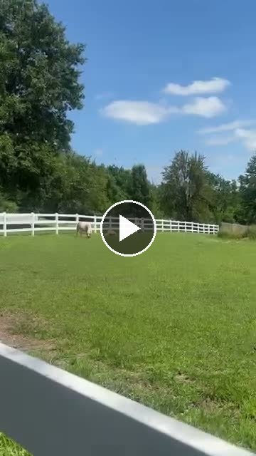 Video — June 24 2026