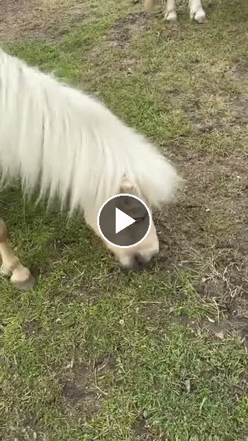 Video — May 10 2026