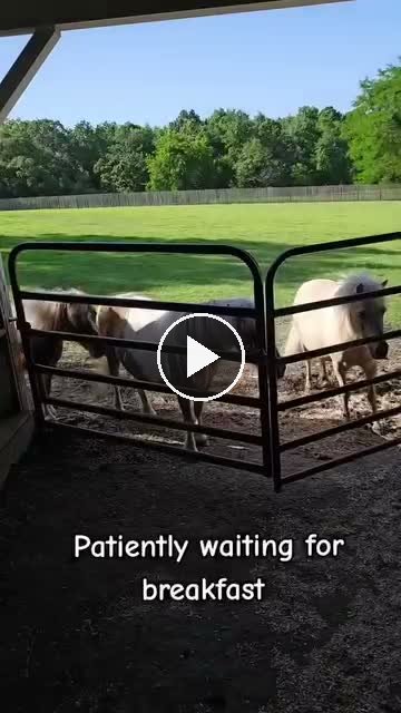Video — May 2 2026
