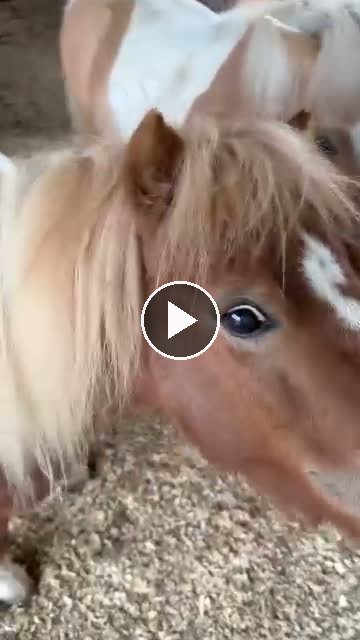 Video — May 14 2026