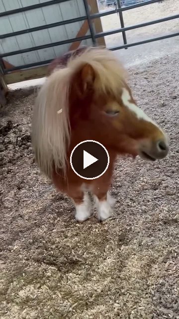 Video — May 16 2026