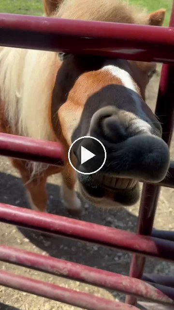 Video — May 26 2026