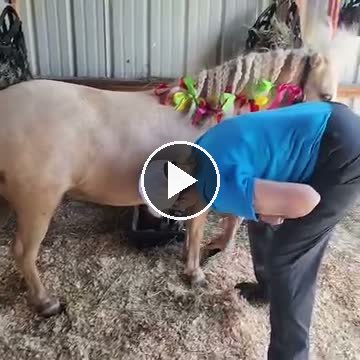 Video — June 28 2026