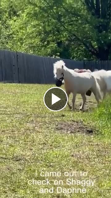 Video — May 9 2026
