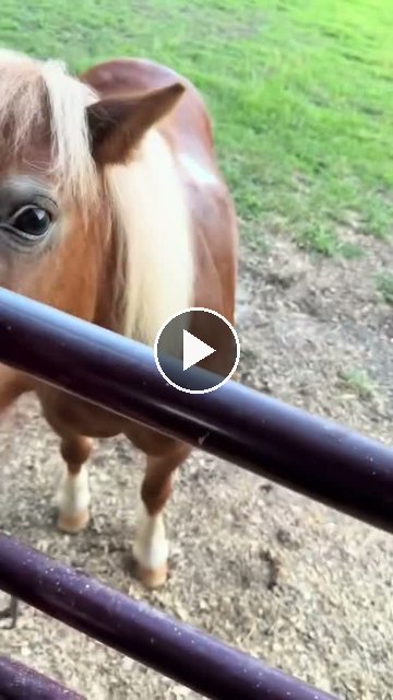 Video — July 20 2026