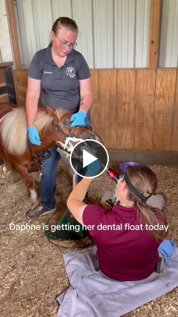 Video — July 30 2026