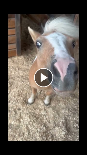Video — July 27 2026