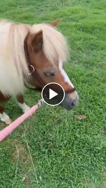 Video — July 23 2026