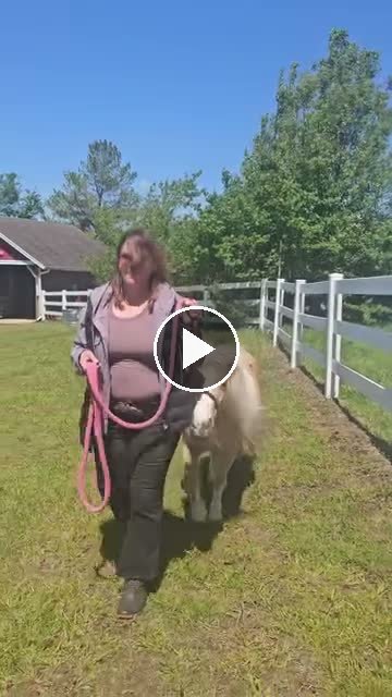Video — May 1 2026