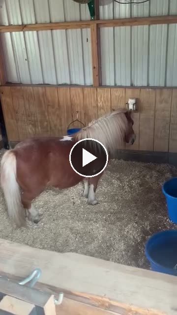 Video — May 8 2026