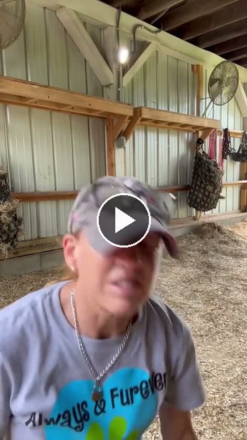 Video — June 10 2026