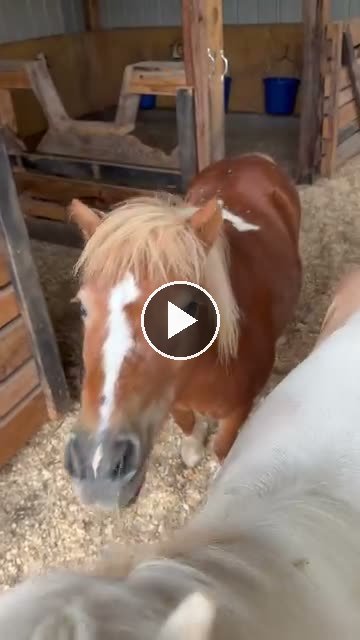 Video — June 26 2026
