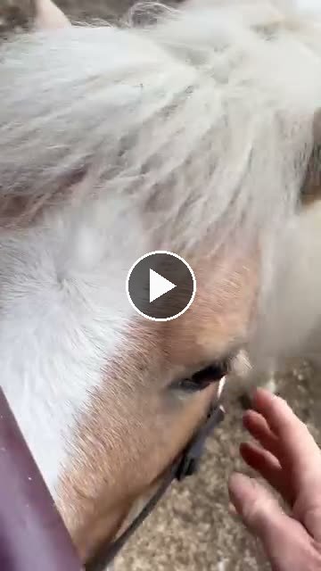 Video — May 8 2026