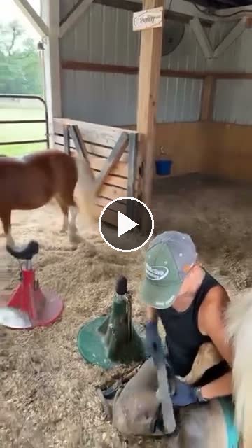 Video — July 29 2026