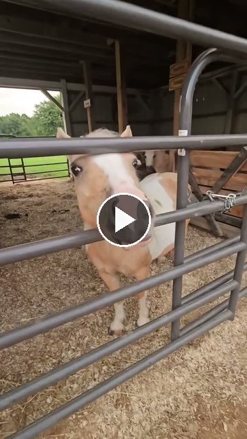 Video — July 30 2026
