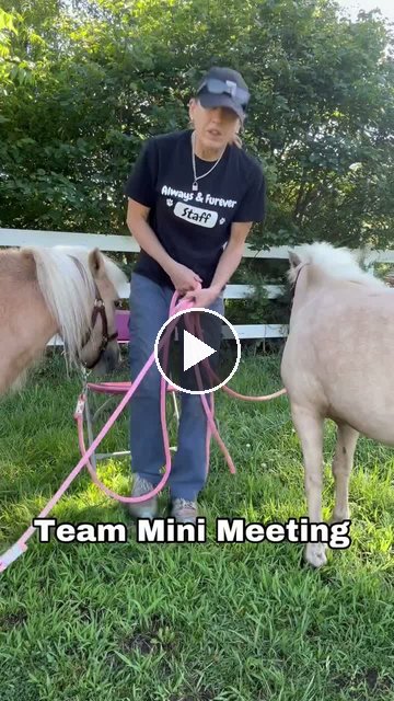Video — June 13 2026