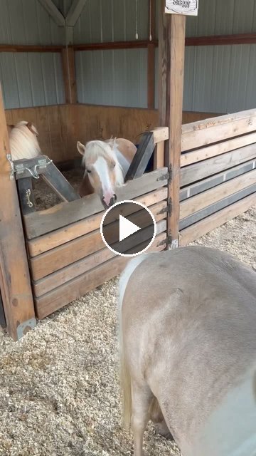 Video — July 22 2026