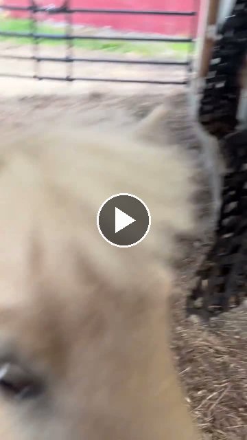 Video — July 2 2026