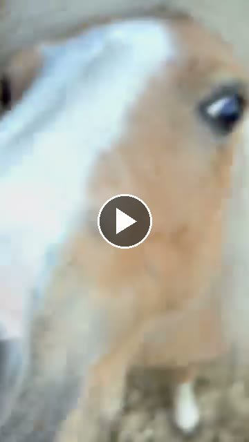 Video — May 13 2026