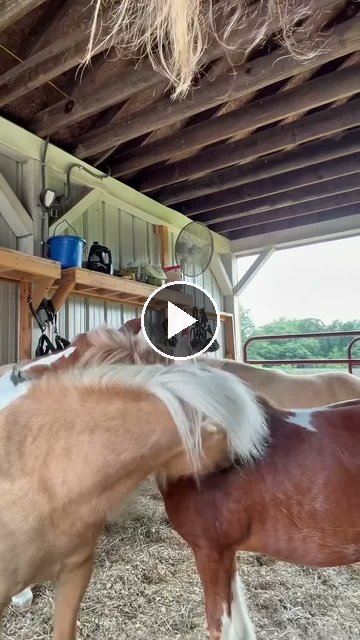 Video — July 18 2026