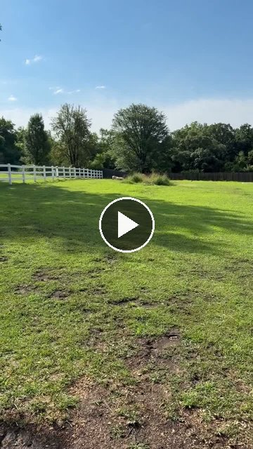 Video — July 9 2026
