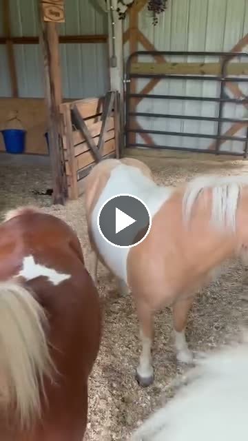 Video — June 18 2026
