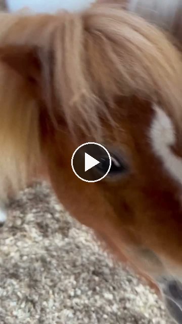 Video — May 27 2026