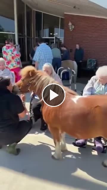 Video — May 12 2026