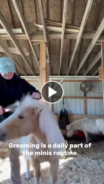 Video — May 6 2026