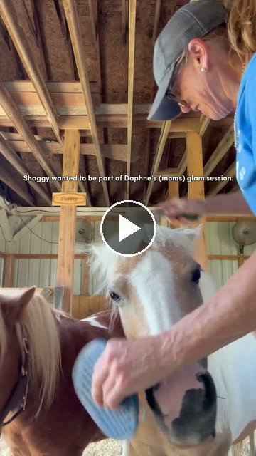 Video — July 11 2026